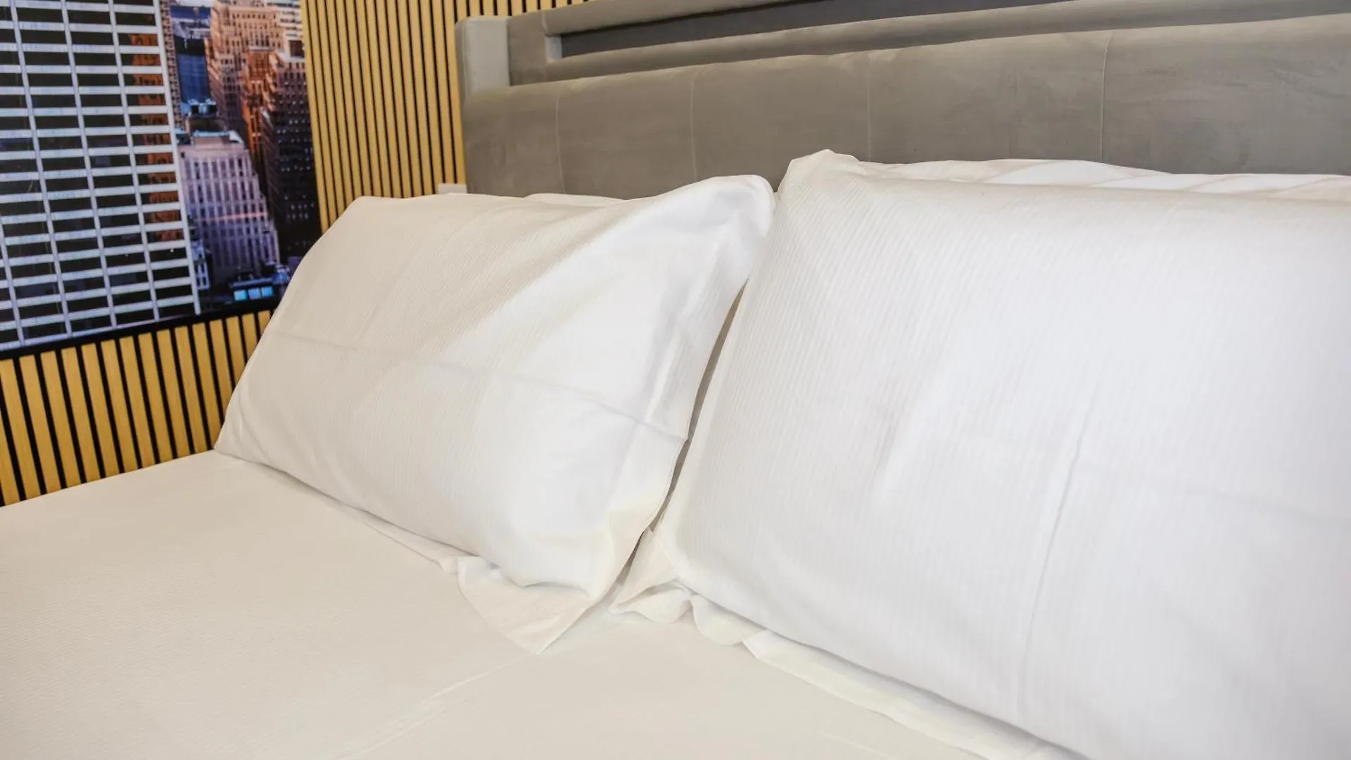 Futura Guest House Μπάρι 0*,